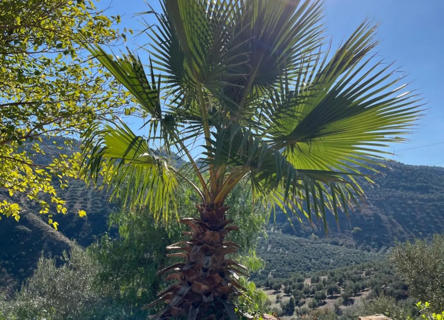 Сasa de vacaciones Villa Cortijo La Pedriza Iznájar